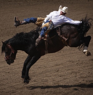 Saddle Flying Saddle Flying