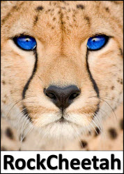 RockCheetah - Hotel Marketing Strategy and Travel Technology Consulting