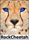 RockCheetah Logo